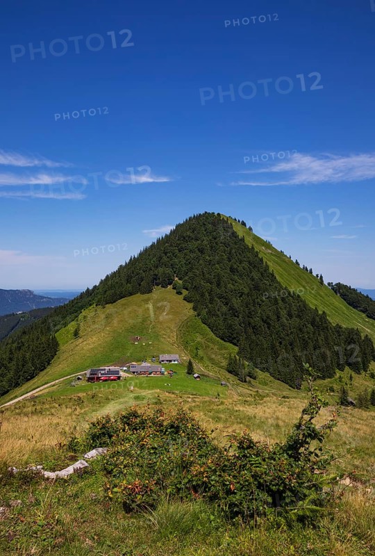 Oberwiesalm with Faistenauer Schafberg, Osterhorn group, Salzkammergut, Salzburg province, Austria, Europe