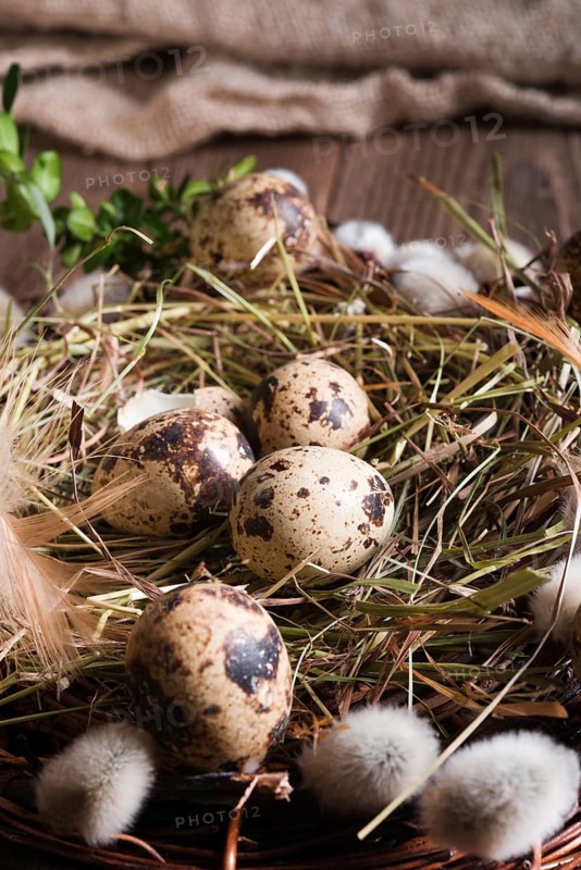 Easter basket