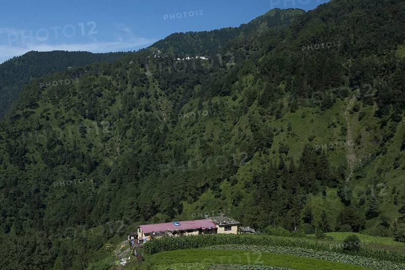 Nainital hills, uttarakhand, india, Asia