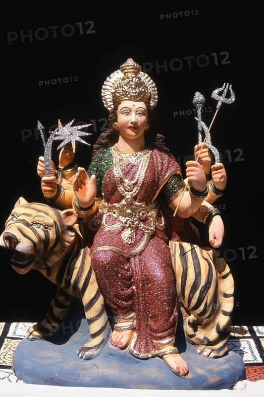 Idol of Goddess Durga on Tiger, Mumbai, Maharashtra, India, Asia