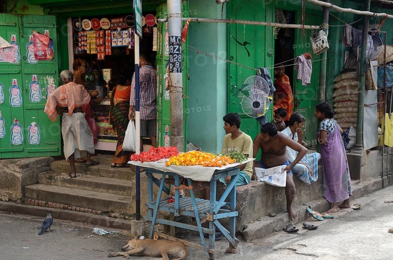 Flower vendor in Kolkata, West Bengal, India, Asia