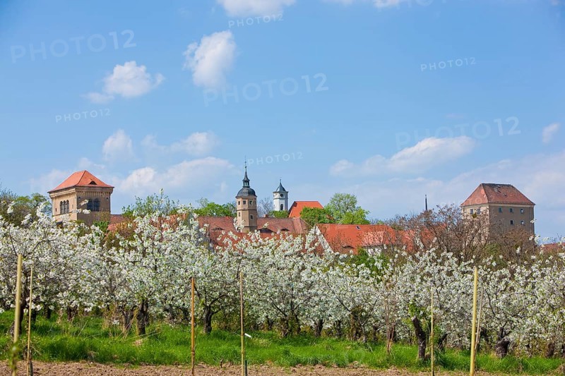 Gamig estate near Dresden