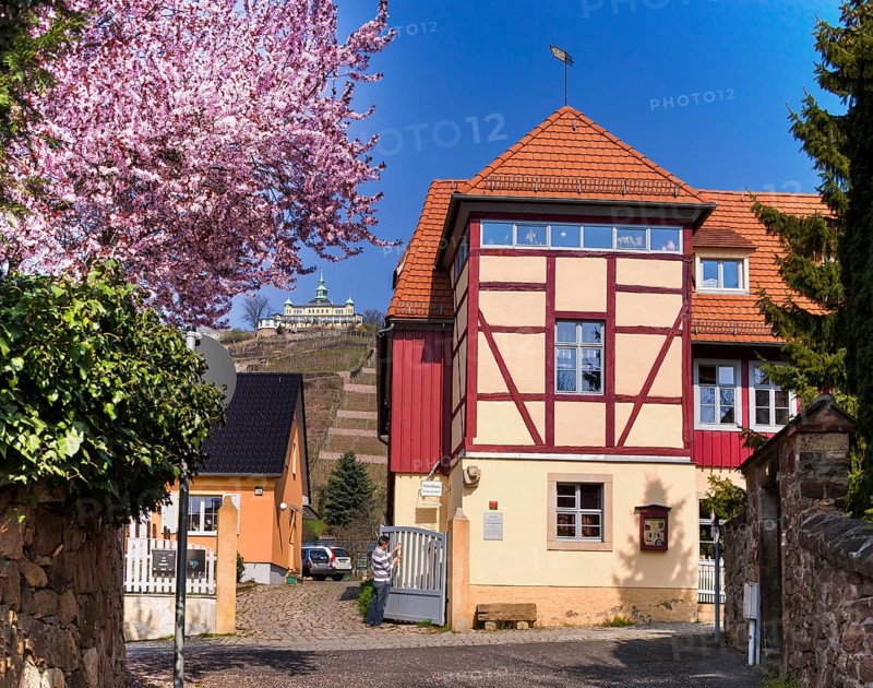 Radebeul Retzsch Haus Klaus Seifert, winery in Radebeul The estate has been in existence since 1649 and is named after the painter Retzsch, who lived here. A glass wine tavern awaits you today. The view from the garden into the steep vineyards is impressive, as are the winegrower's wine stories