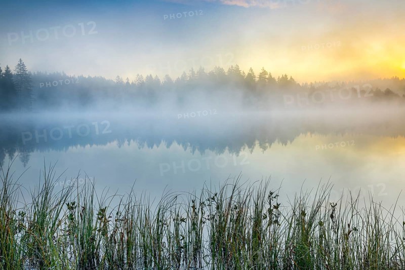 Atmospheric dawn with wafts of mist over the mirror-smooth moorland lake Étang de la Gruère in the canton of Jura, Switzerland, Europe