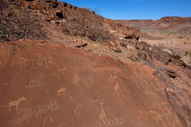 Rock engravings, Twyfelfontein, Unesco World Heritage Site, Kunene Region, Namibia, Africa