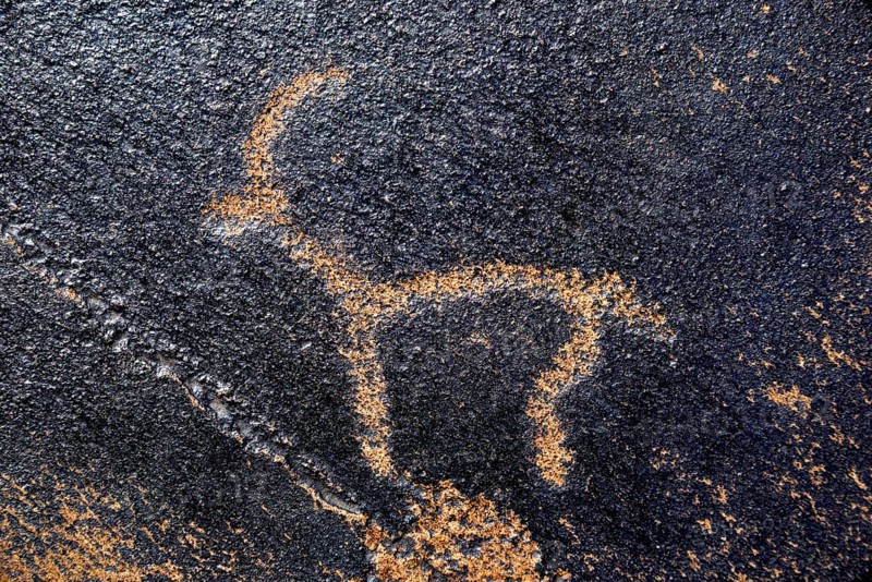 Petroglyph of a Siberian ibex (Capra sibirica), up to 2500 years old, West Karakol Valley, Tien Shan Mountains, Naryn region, Kyrgyzstan, Asia