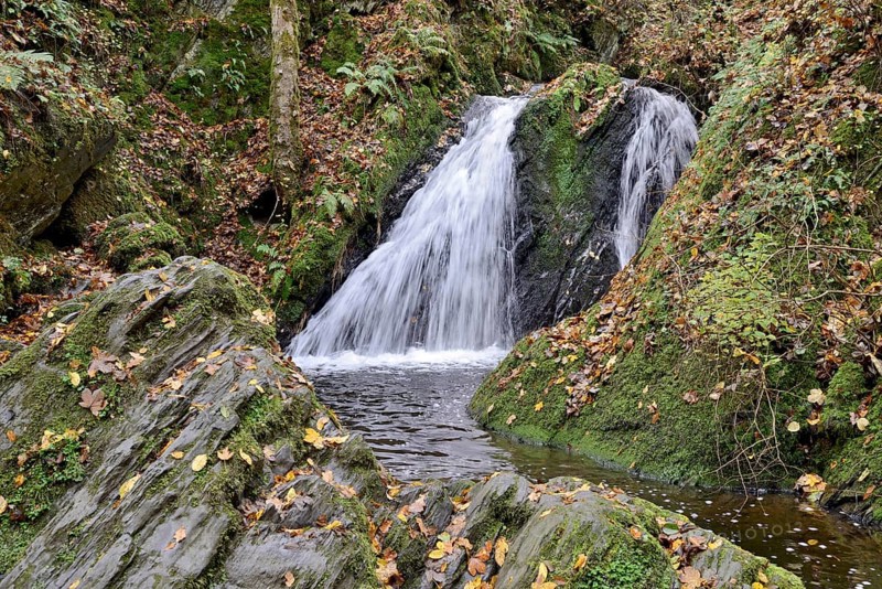 Waterfall in the wild Endert Valley, Moselle, Rhineland-Palatinate, Germany, Europe