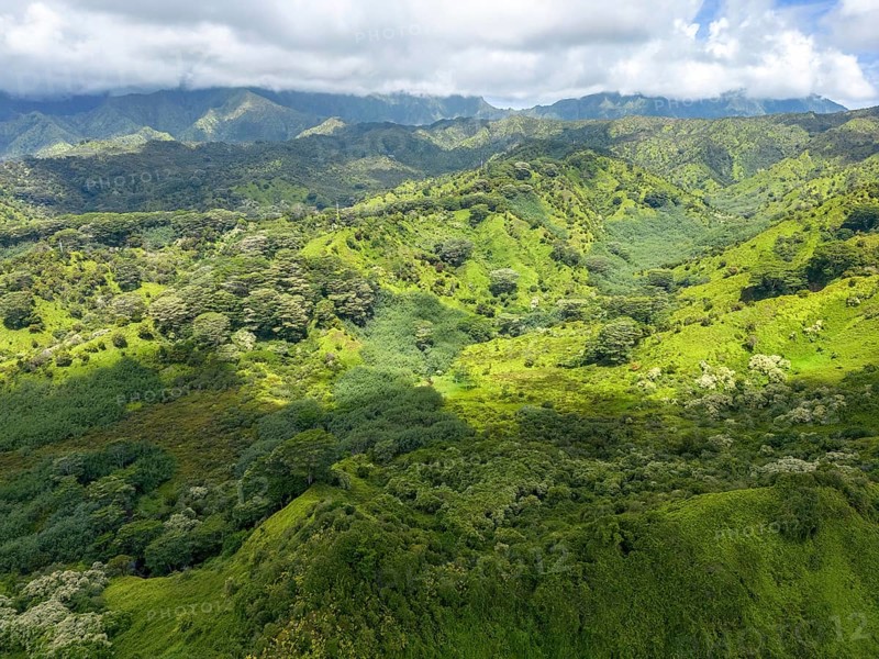 Aerial view of Kuilau Ridge Trail, Moalepe Road, Kauai, Hawaii, USA, North America