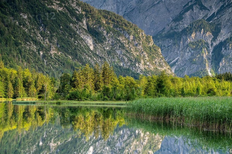 Almsee with reflection, Grünau, Almtal, Salzkammergut, Upper Austria, Austria, Europe
