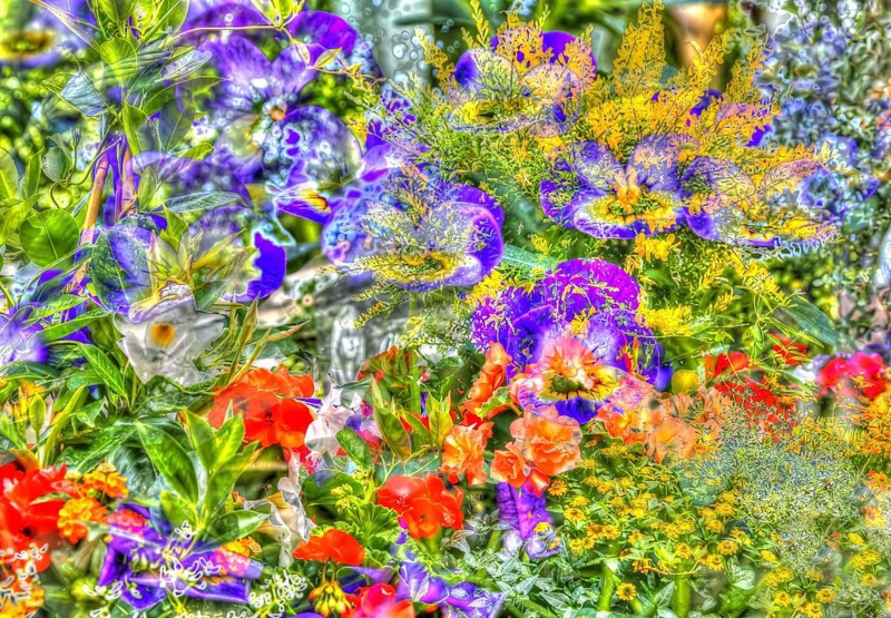 Oilpainting-like picture, various bright flowers, spring, large-flowered field pansy, viola (plant) (Viola), red, yellow and purple flowers creative, different plants mixed, artistic picture, violet flowers alienated, plants, impressionistic art style, vivid spring atmosphere, allover, alienation, dense flower field, bright colours, garden, bed, plants, Germany, Europe