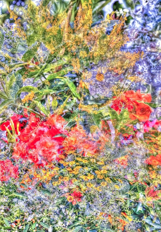 Oil painting-like picture, various bright flowers, red, yellow and purple flowers creative, different plants mixed, artistic picture, purple flowers alienated, plants, impressionistic art style, vivid spring atmosphere, allover, alienation, dense flower field, bright colours, green leaves, carpet of flowers, sea of flowers, garden, bed, plants, Germany, Europe