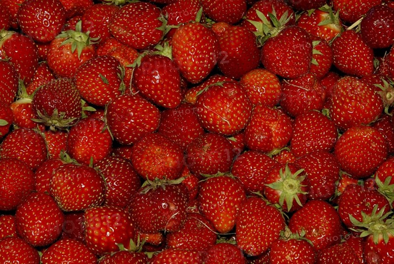 Strawberries (Fragaria x ananassa)