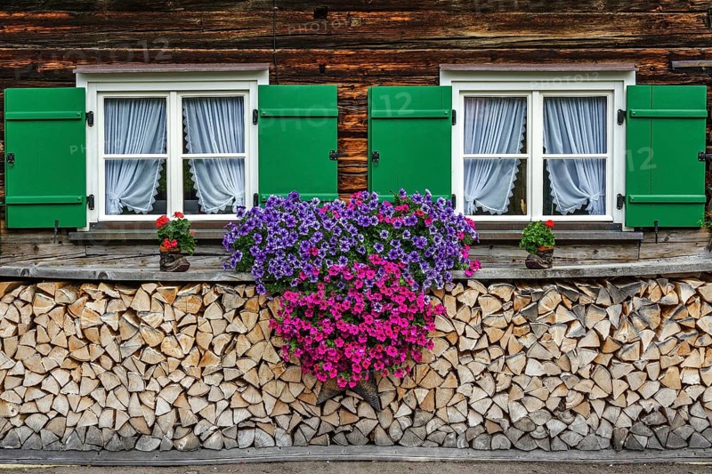 Window with geraniums on an old farmhouse and stacked firewood, Oberstdorf, Oberallgäu, Allgäu, Swabia, Bavaria, Germany, Europe