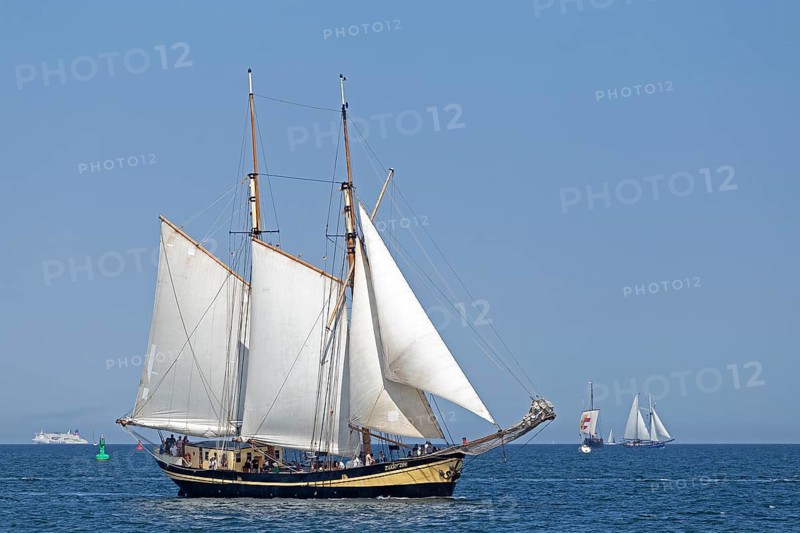 Sailing ships, Baltic Sea, Hanse Sail, Warnemünde, Rostock, Mecklenburg-Western Pomerania, Germany, Europe