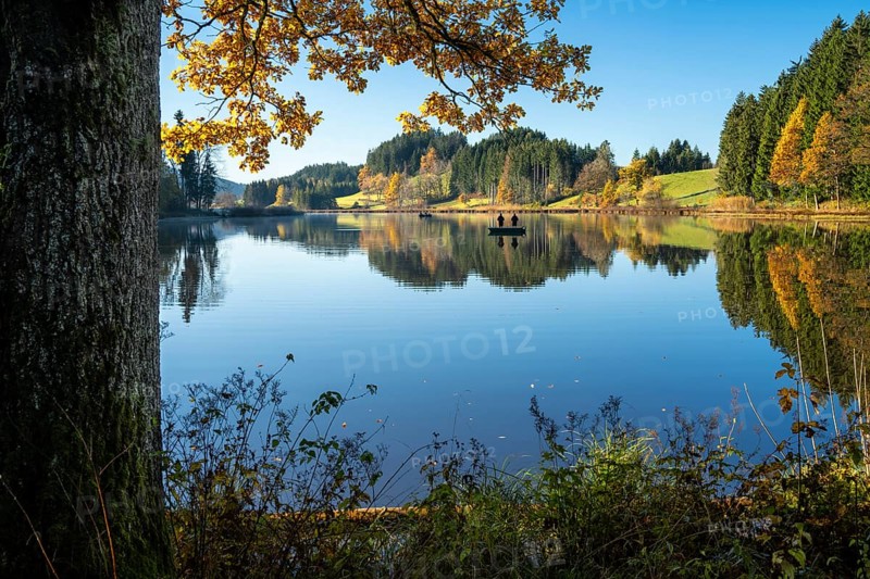 The Hengelesweiher pond in the Hengelesweiher nature reserve in autumn. The lake is surrounded by forest and meadows. The trees are reflected in the water. Two small boats with anglers at some distance on the lake. Good weather, blue sky. Isny im Allgäu, Adelegg landscape conservation area, Allgäu, Baden-Württemberg, Germany, Europe