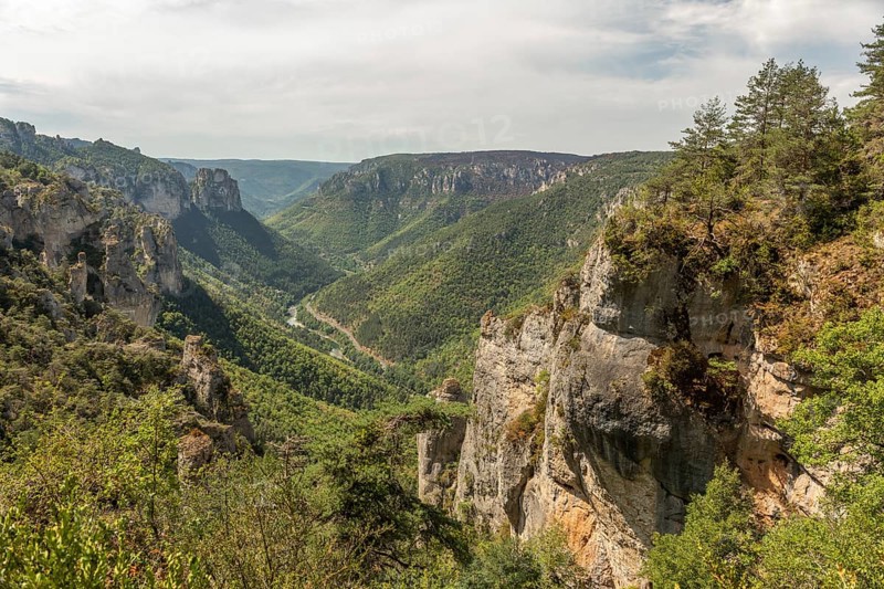 Gorges of Tarn seen from hiking trail on the corniches of Causse Mejean above the Tarn Gorges. La bourgarie, Lozere, France, Europe
