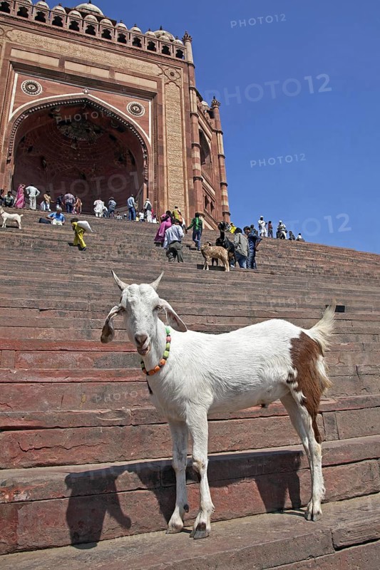 Buland Darwaza, entrance to the Fatehpur Sikri complex in Uttar Pradesh, India, Asia