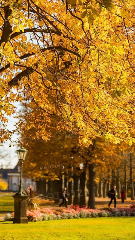 The former summer residence of the Saxon royal family is the largest chinoise palace complex in Europe. The palace park with more than 2, 000 shrubs and over 600 potted plants invites visitors to take eventful walks at any time of year