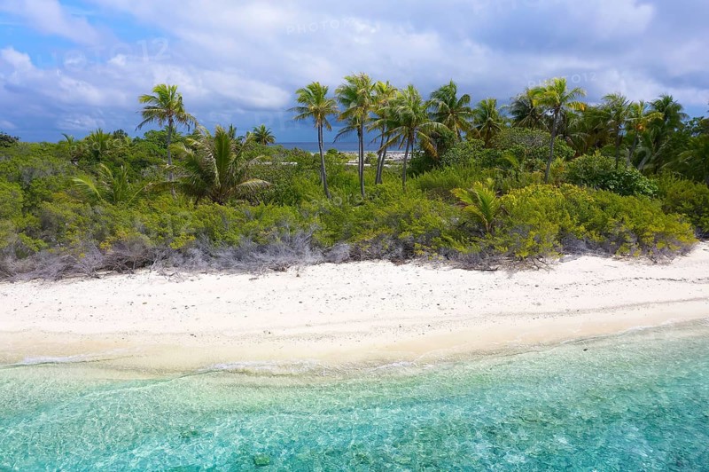 Aerial view, Typical island landscape, uninhabited island, lagoon, sandy beach, bushes and coconut palms (Cocos nicifera), Fakarava atoll, Tuamotu archipelago, Tahiti, Society Islands, Leeward Islands, French Polynesia, Oceania