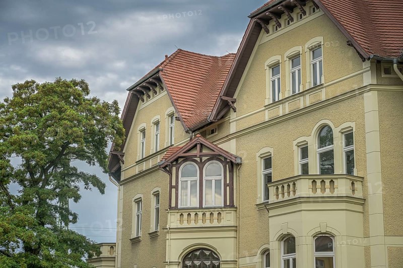 Old villa, villa neighbourhood, Lennéstraße, Magdeburg, Saxony-Anhalt, Germany, Europe