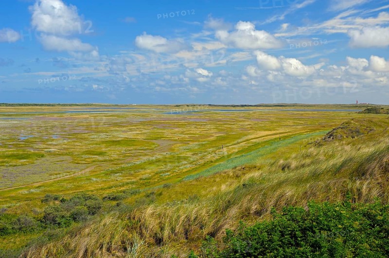Nature reserve De Slufter, view from lookout dune, island Texel, North Sea, North Holland, Netherlands