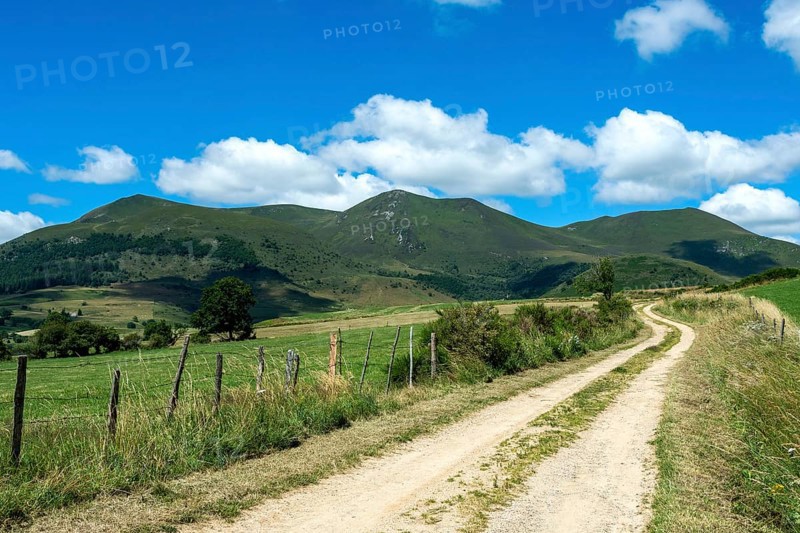 Monts Dore, Parc Naturel Regional des Volcans dAuvergne, Auvergne Volcanoes Regional Nature Park, Puy de Dome, Auvergne-Rhone-Alpes, France, Europe