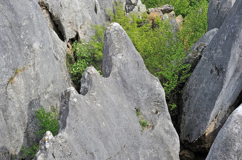 Eroded rocks of a gorge in the Fondry des Chiens nature reserve, a sinkhole near Nismes in Viroinval in the Ardennes, Belgium, Europe