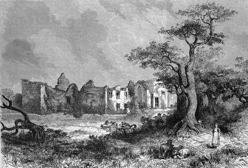 Chateau de la Meilleraye was a castle in Beaulieu-sous-Parthenay in the French department of Deux-Sevres, here the ruin in 1869, France, Historic, digitally restored reproduction of a 19th century original, exact original date unknown, Europe