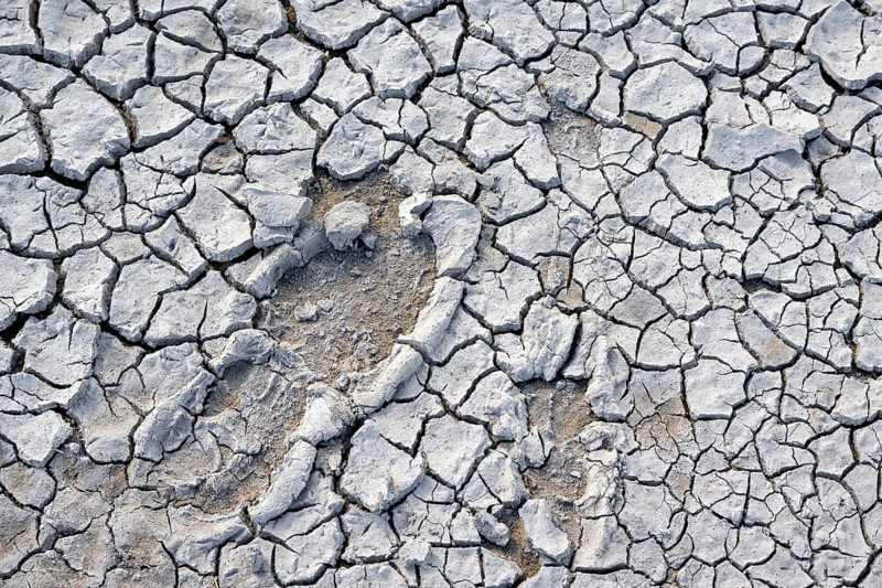 Footprint in the heavily dried out Darscho or Warmsee, Lake Neusiedl-Seewinkel National Park, Burgenland, Austria, Europe