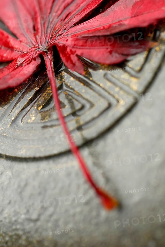 Japanese (Detail) Maple leaf and Japanese emblem in stone, esotericism, symbol Japanese maple, leaf, and Japanese stone sign, sign in stone, esotericism, close-up, symbol
