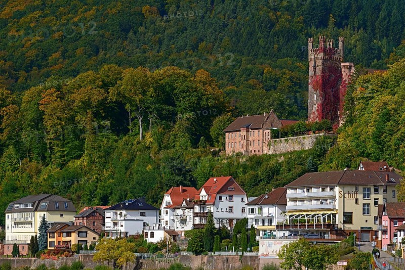 Mittelburg, Neckarsteinach, Vierburgenstadt, Baden-Württemberg, Germany, Europe