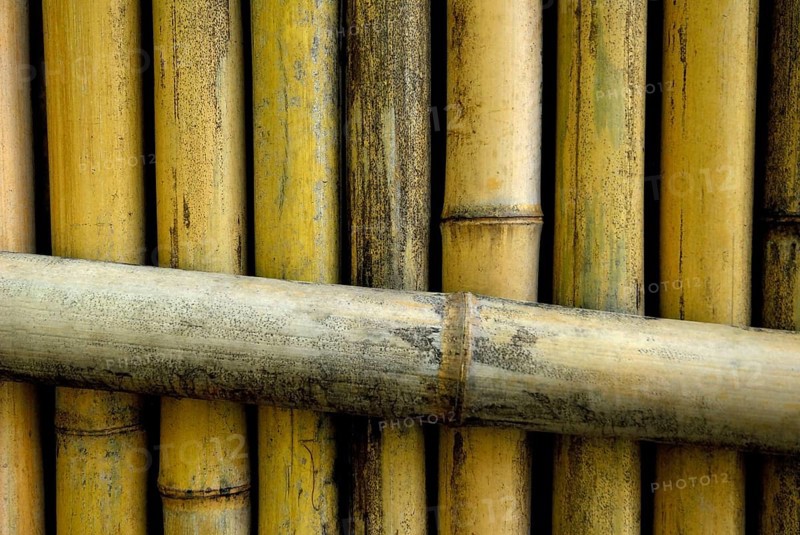 Bamboo fence, Japan, Asia