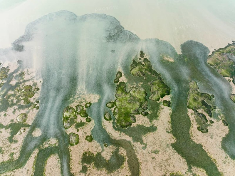 Network of channels and streams at low tide at their confluence with a larger body of water, in the marshland of the Bahía de Cádiz, aerial view, drone shot, Cádiz province, Andalusia, Spain, Europe
