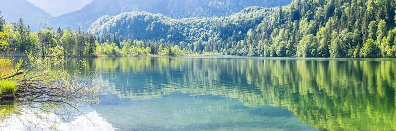Schwansee, near Hohenschwangau, Romantic Road, Ostallgäu, Bavaria, Germany, Europe