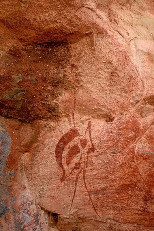 Rock drawing of an ostrich in the De Riet cave, near De Riet, Kunene region, Namibia, Africa