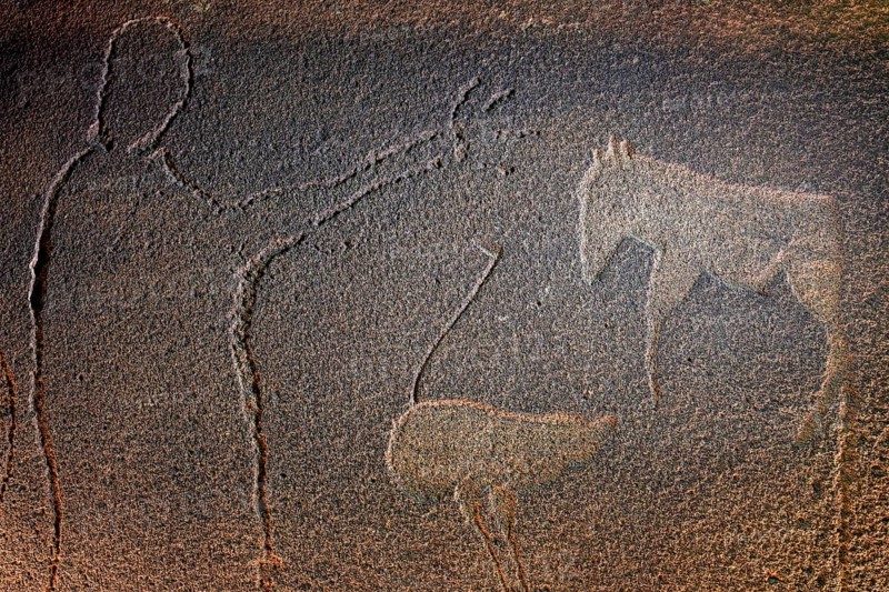 Rock engraving of a man with raised arm, ostrich and zebra, at night, illuminated, God's plate, near De Riet, Kunene region, Namibia, Africa