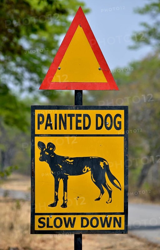 Warning Sign Painted dog, Attention African Wild Dogs, Hwange National Park, near Hwange, Matabeleland North Province, Zimbabwe, Africa