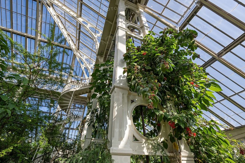 Pillars, Temperate House, largest Victorian greenhouse in the world, Royal Botanic Gardens (Kew Gardens), UNESCO World Heritage Site, Kew, Greater London, England, United Kingdom, Europe