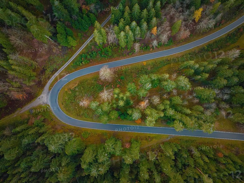 S-curve through the autumn forest, Black Forest, Germany, Europe