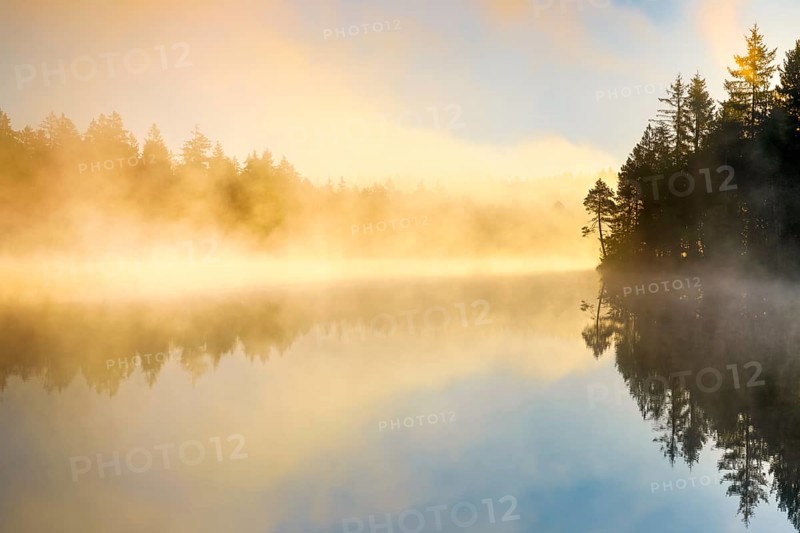 Backlit sunrise with wafts of mist over the mirror-smooth moorland lake Étang de la Gruère in the canton of Jura, Switzerland, Europe
