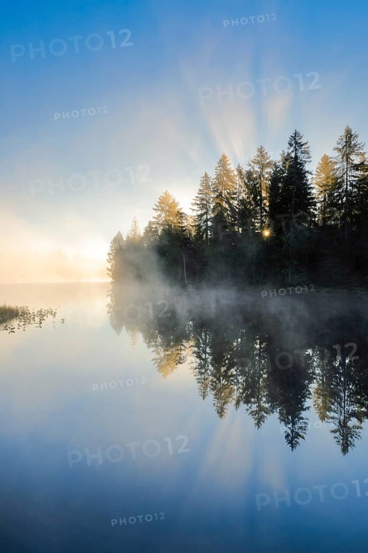 Sunrise over the mirror-smooth mire lake Étang de la Gruère in the canton of Jura, Switzerland, Europe