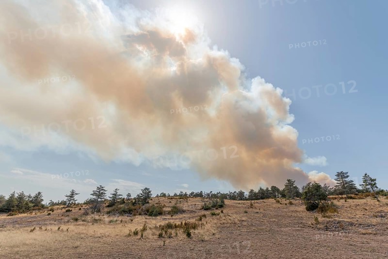 Forest fire wreaks havoc on causse de sauveterre. Montuejols, Aveyron, Cevennes, France, Europe