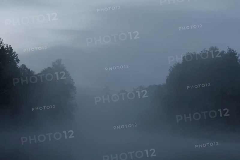 Foggy mood in the morning on the Upper Havel, Müritz National Park, Mecklenburg-Western Pomerania, Germany, Europe
