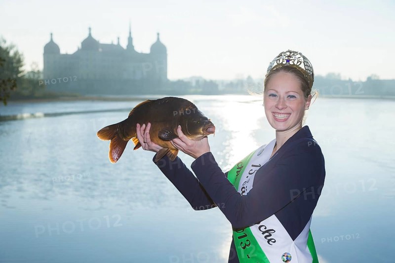 Fishing of the castle pond in Moritzburg