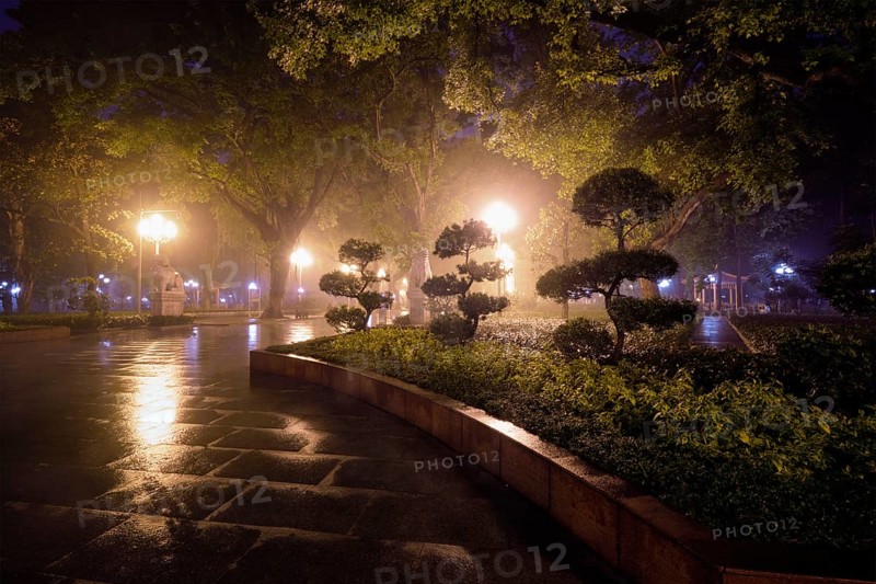 Guangzhou People's Park with mist fog at night. Guangzhou, China, Asia