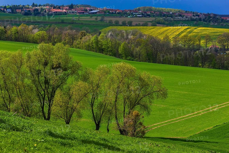 Fields near Zuschendorf with a view of Niederseifersdorf