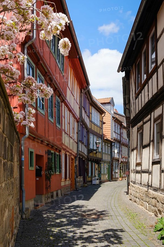 Rosenwinkel, half-timbered alley in the old town, lower town, Halberstadt, Harz Mountains, Saxony-Anhalt, Germany, Europe