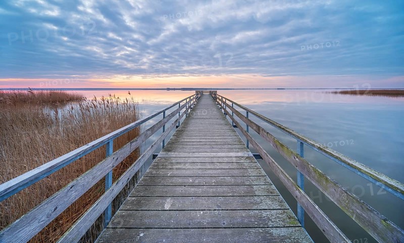 Bathing area with jetty at Bodstedter Bodden at sunrise, Western Pomerania Lagoon National Park, Darßer Ort, Fischland-Darß-Zingst peninsula, Mecklenburg-Western Pomerania, Germany, Europe