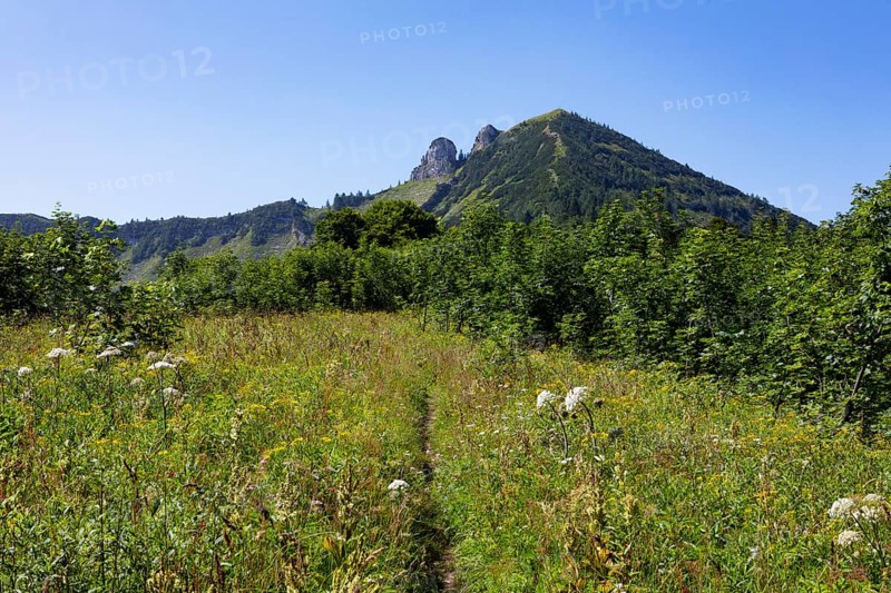 Mountain landscape, hiking trail from the Feichtensteinalm to the Regenspitz, Osterhorngruppe, Salzkammergut, Land Salzburg, Austria, Europe