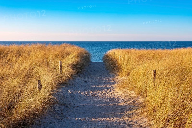Beach access at the Baltic Sea in the evening light, path through dunes to the beach, beach grass as coastal protection, Baltic Sea resort Rerik, Mecklenburg-Western Pomerania, Germany, Europe